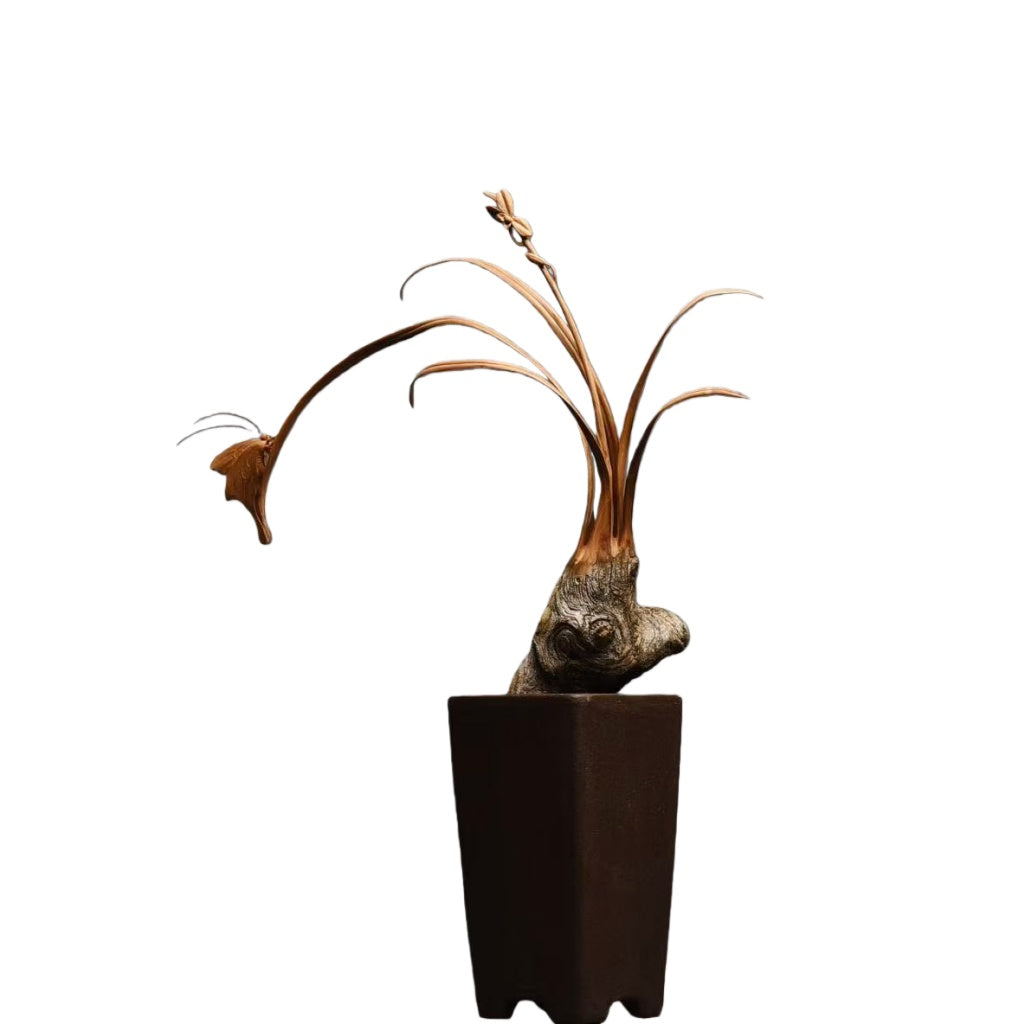 天然木彫り置物「蘭と蝶」29cm